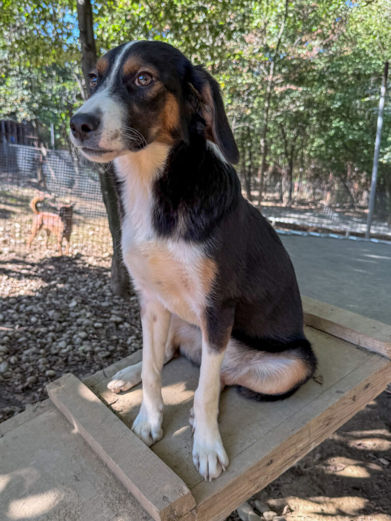 20251014-fotos-loara-4