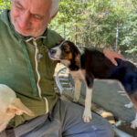 20251014-fotos-loara-5