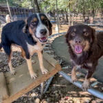 20251014-fotos-loara-6