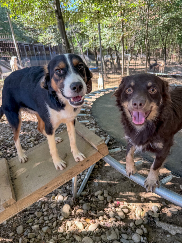 20251014-fotos-loara-6