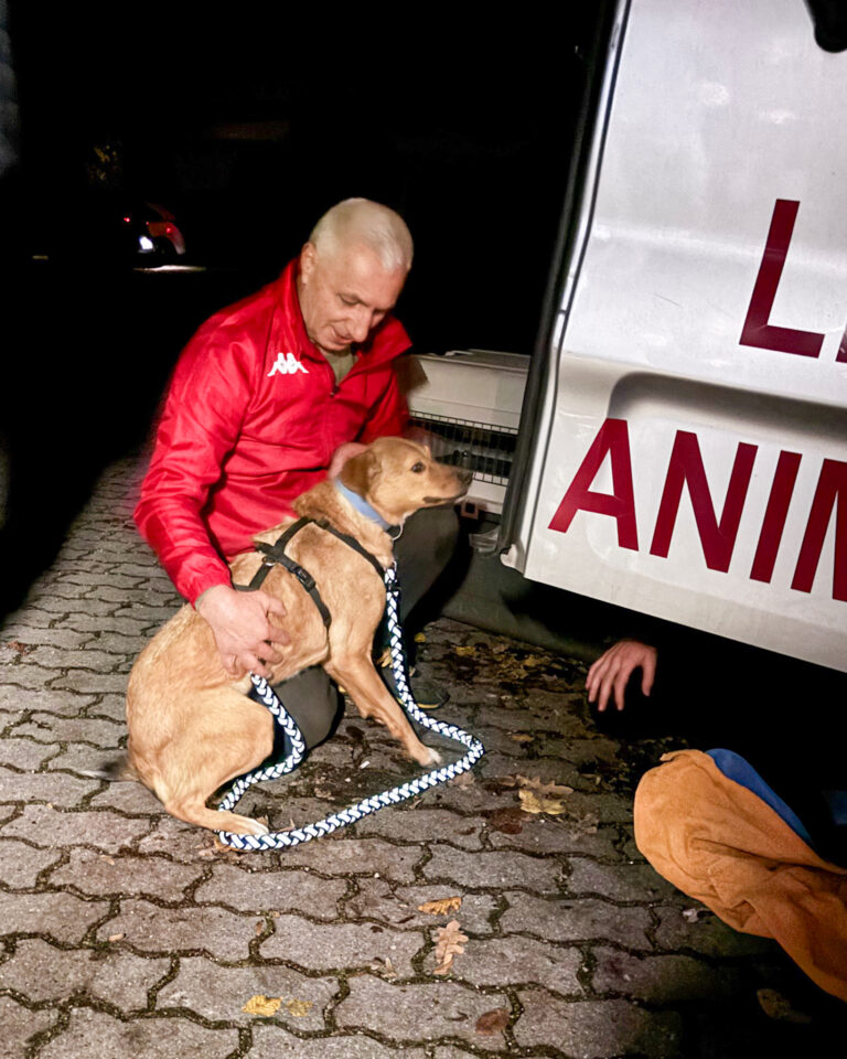 20251024-trapo-oktober-16