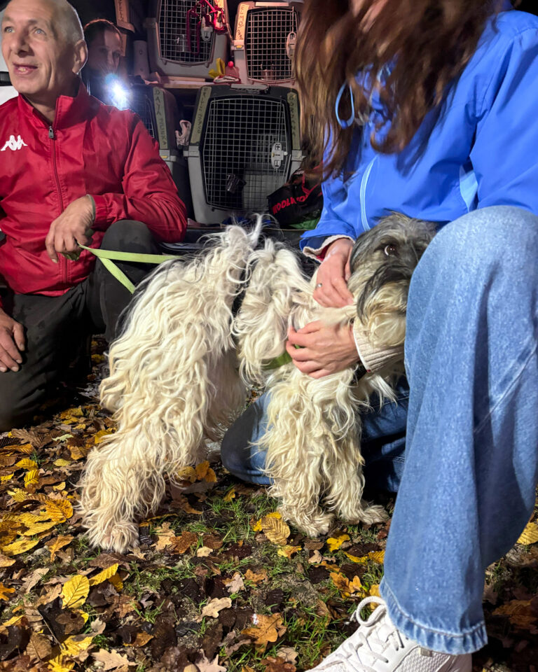 20251024-trapo-oktober-24