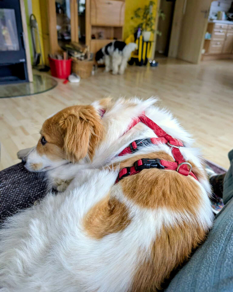 20251024-trapo-oktober-44