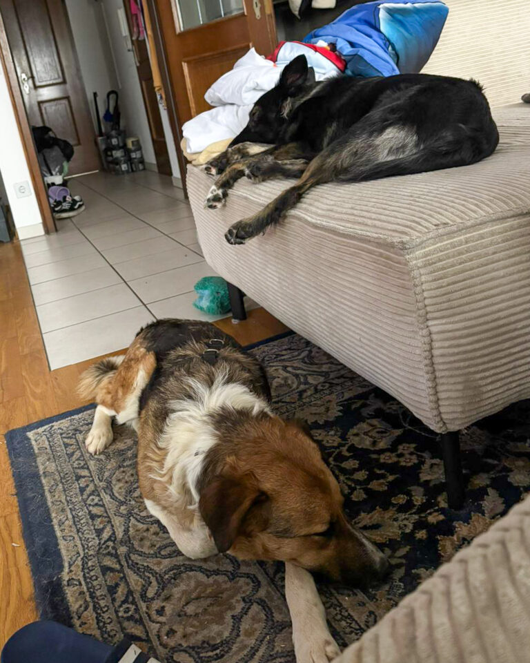 20251024-trapo-oktober-45