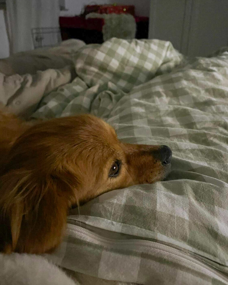 20251024-trapo-oktober-47