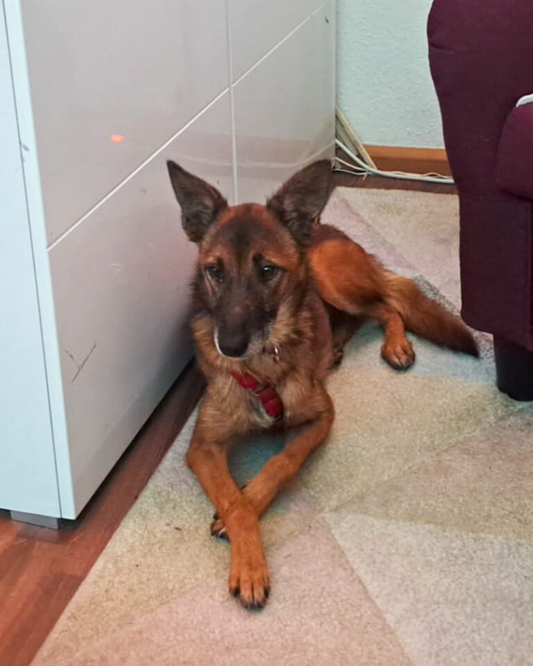 20251024-trapo-oktober-48