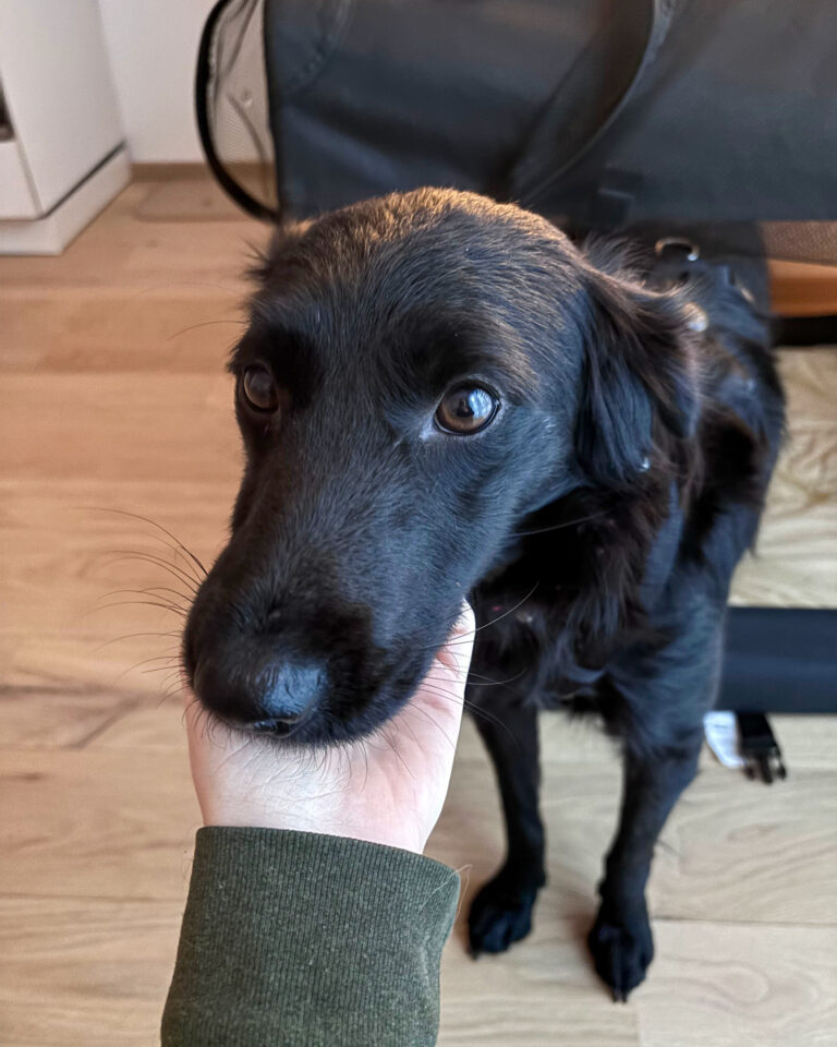 20251024-trapo-oktober-49