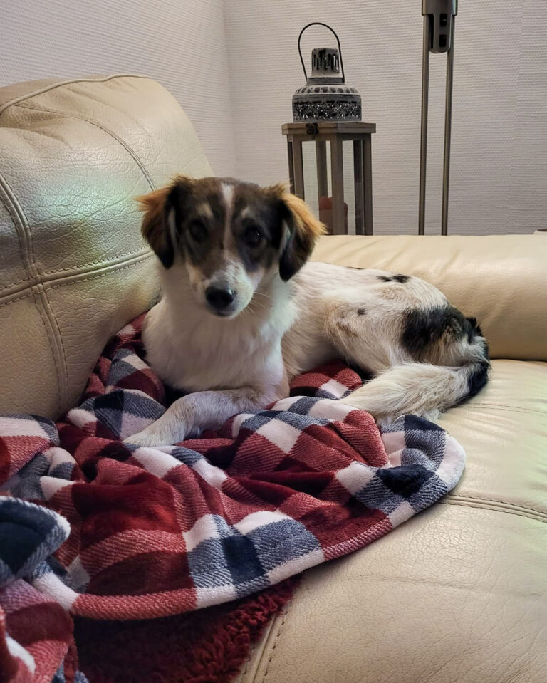 20251024-trapo-oktober-51