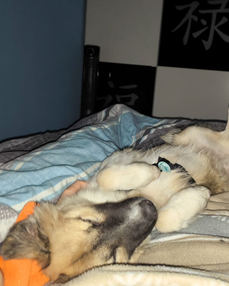 20251024-trapo-oktober-52