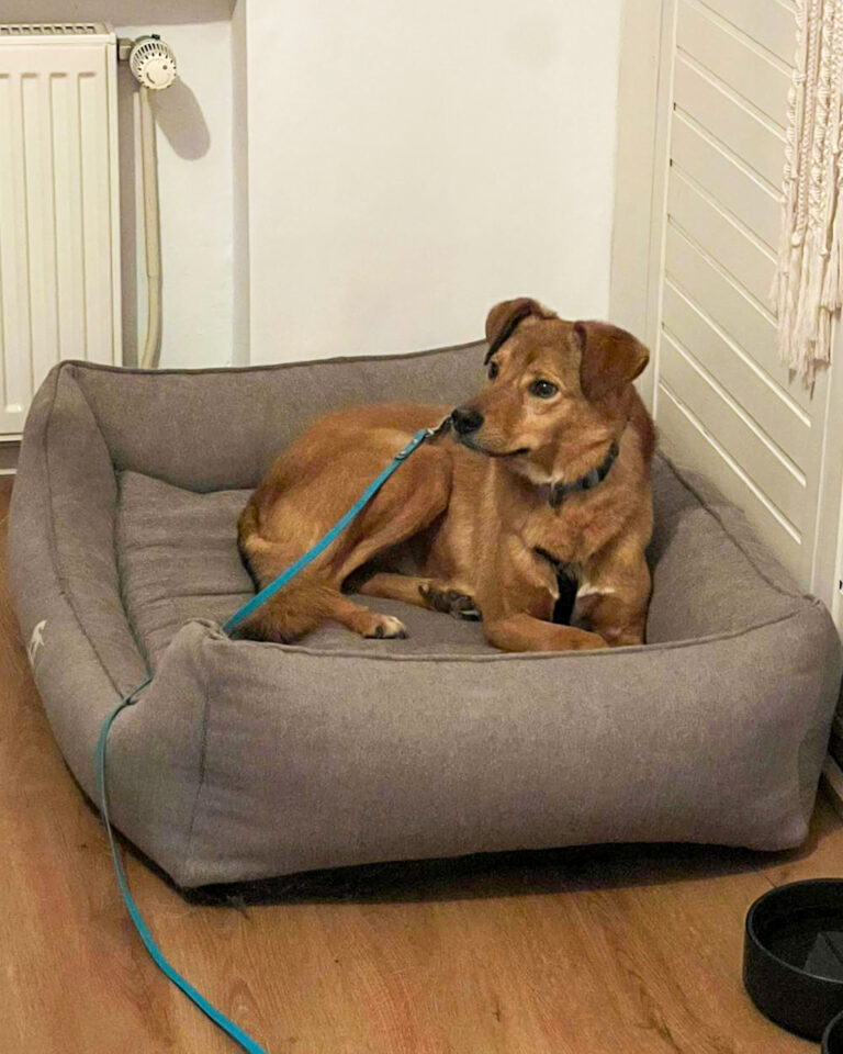 20251024-trapo-oktober-53