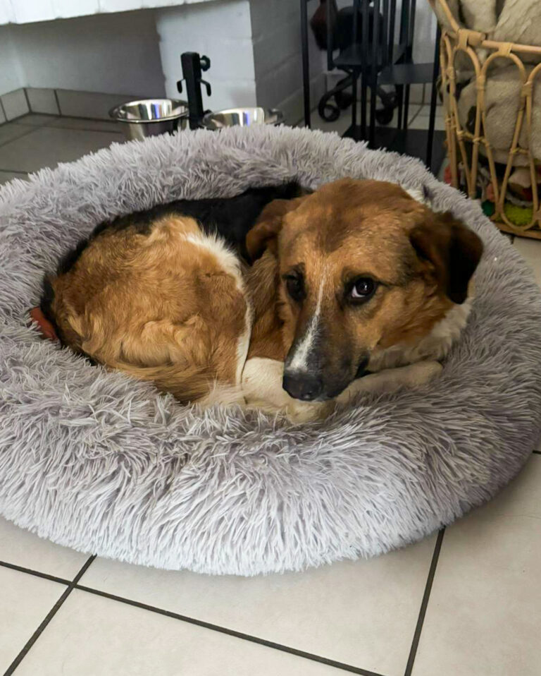 20251024-trapo-oktober-55