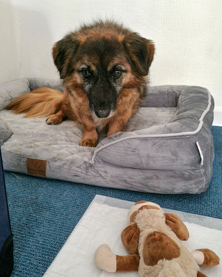 20251024-trapo-oktober-56