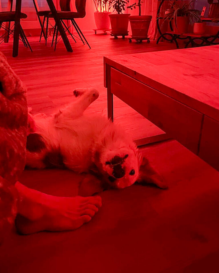 20251024-trapo-oktober-57