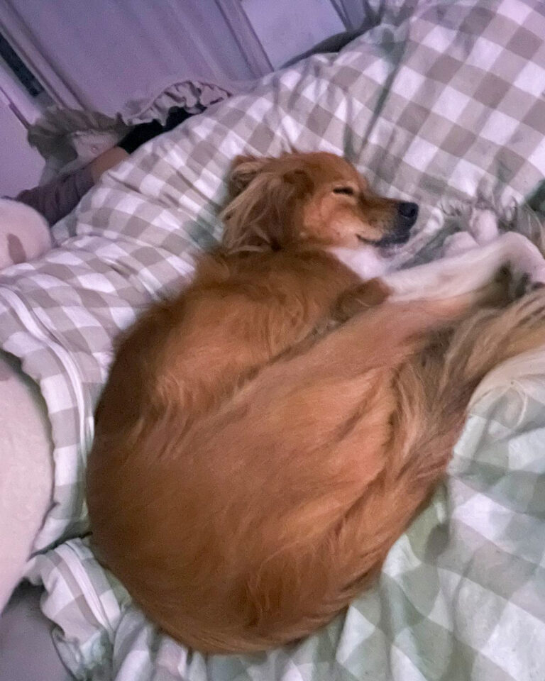 20251024-trapo-oktober-58