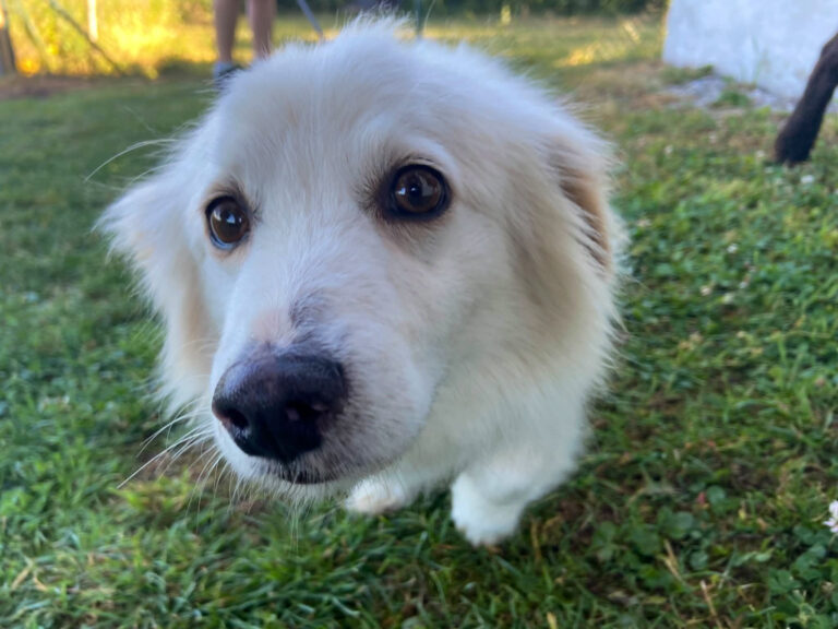 20210626-fotos-tia-1