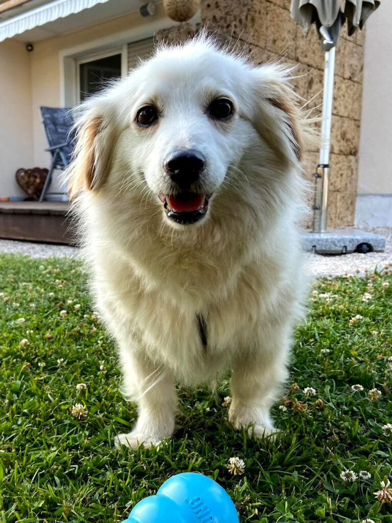 20210704-fotos-tia-1