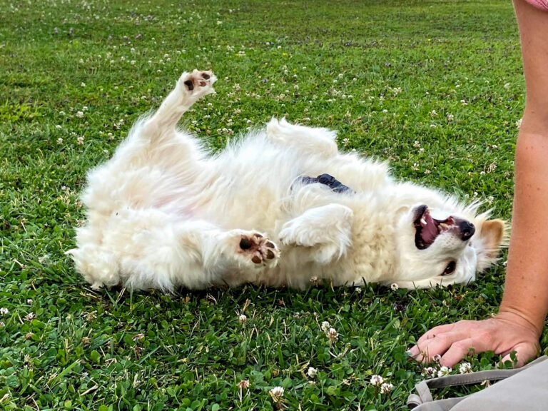 20210704-fotos-tia-2