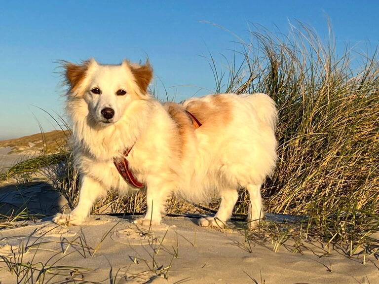 20211226-fotos-tia-1