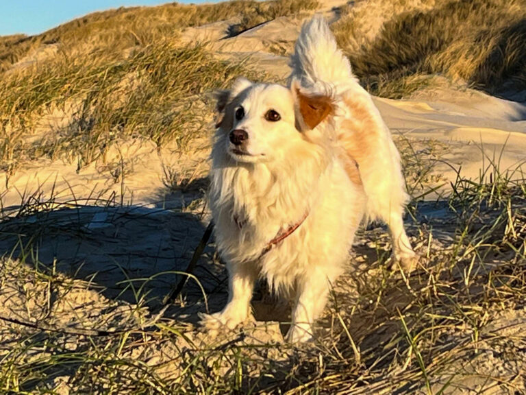 20211226-fotos-tia-2