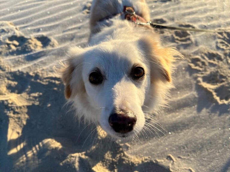 20211226-fotos-tia-3