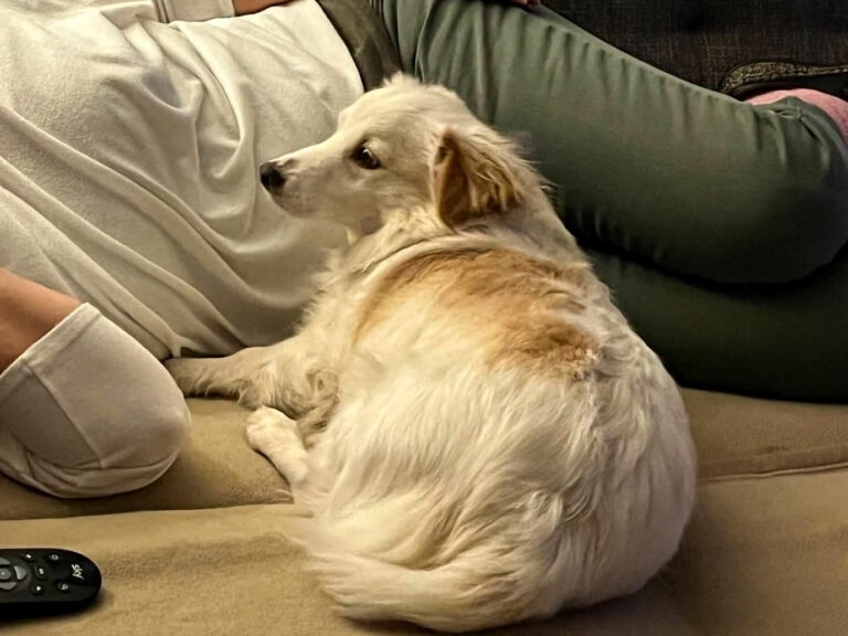 20211226-fotos-tia-4