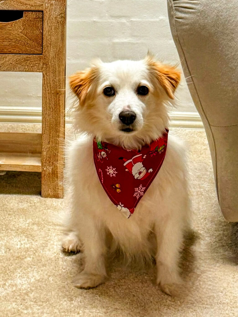 20231230-fotos-tia-1