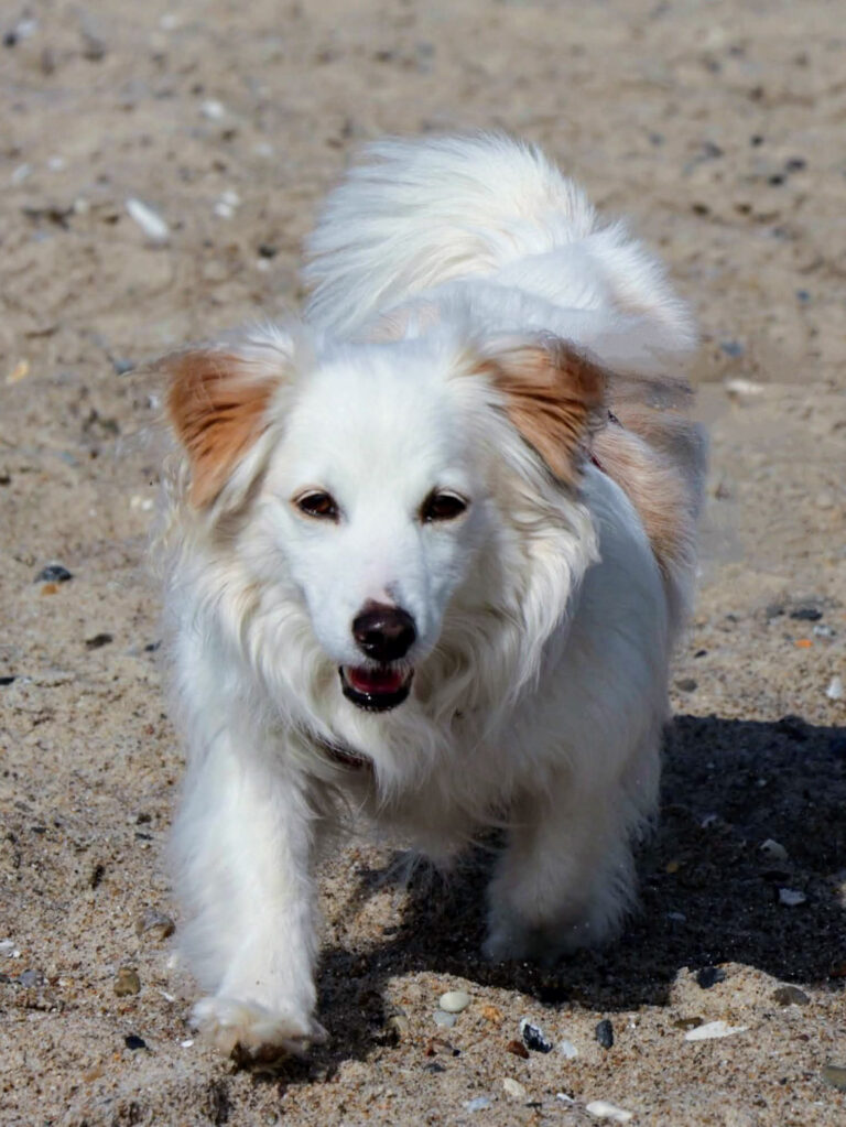 20231230-fotos-tia-2