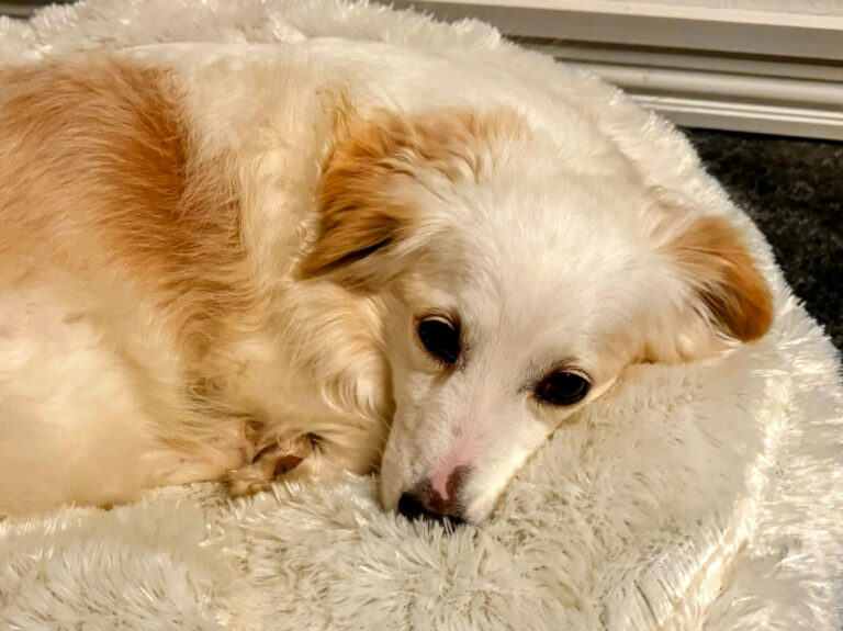 20231230-fotos-tia-3