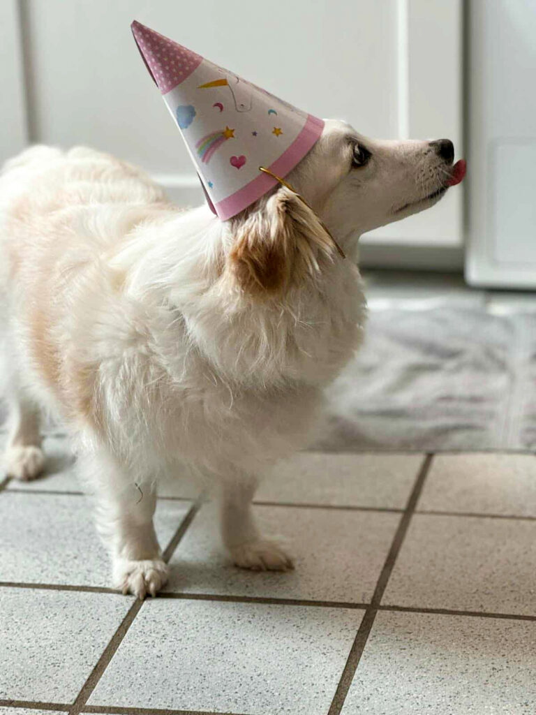 20250315-fotos-tia-2