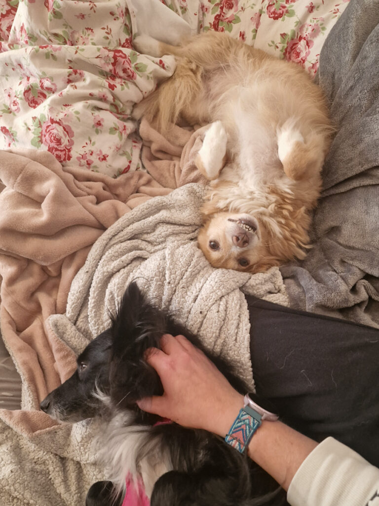 20251023-fotos-chia-4