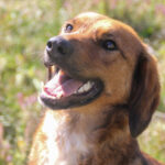 20251101-fotos-dario-01