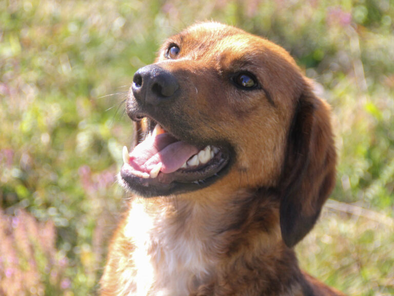 20251101-fotos-dario-01