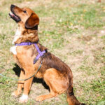 20251101-fotos-dario-04