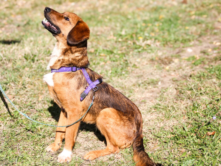 20251101-fotos-dario-04