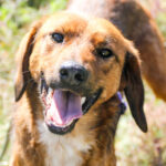 20251101-fotos-dario-06