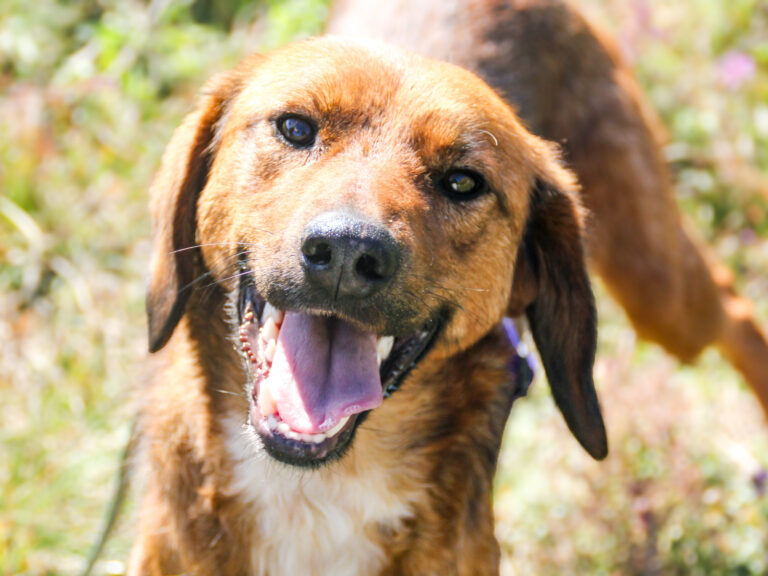 20251101-fotos-dario-06