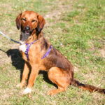 20251101-fotos-dario-07