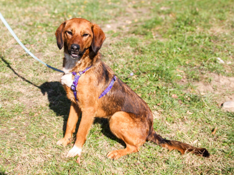 20251101-fotos-dario-07