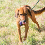 20251101-fotos-dario-08