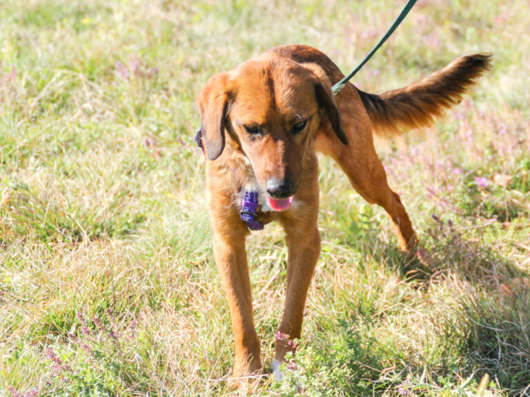 20251101-fotos-dario-08