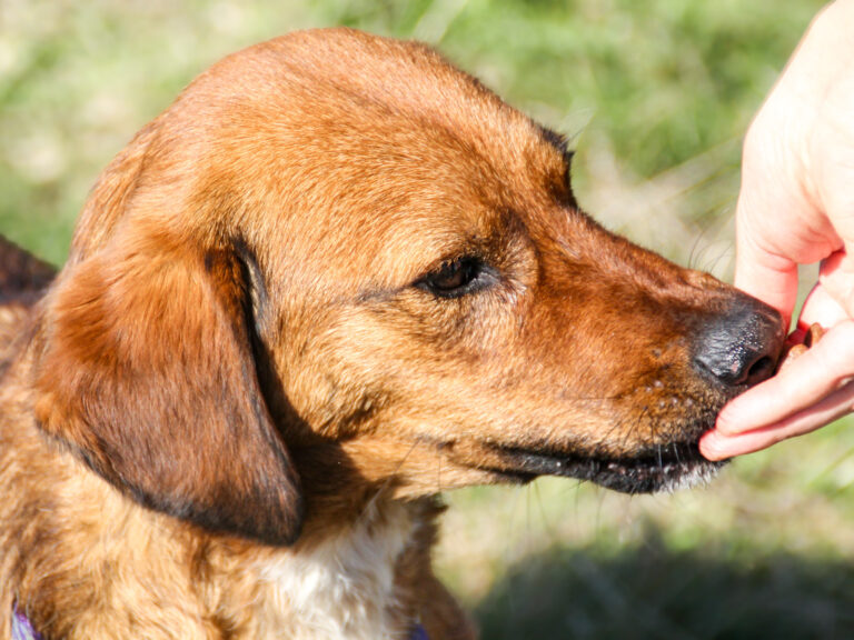 20251101-fotos-dario-09