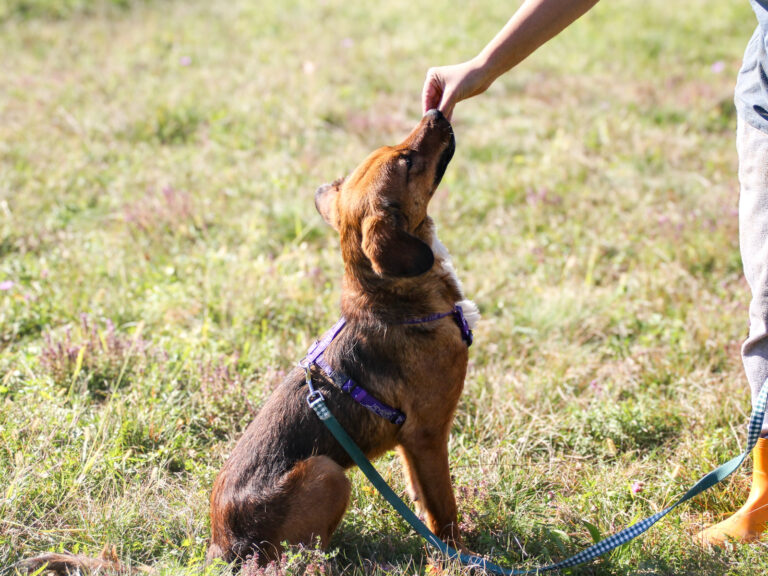 20251101-fotos-dario-10