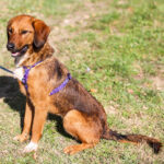 20251101-fotos-dario-11