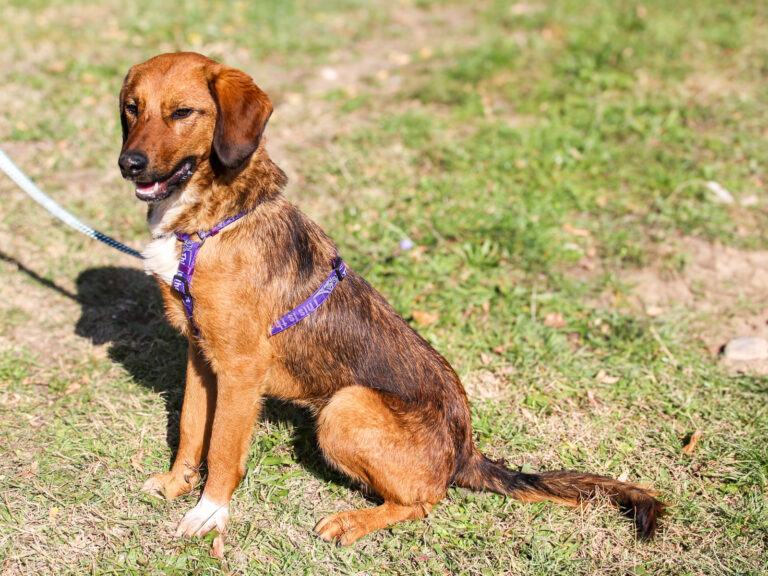 20251101-fotos-dario-11