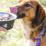 20251101-fotos-dario-12