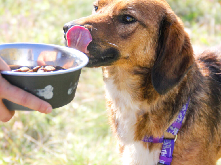 20251101-fotos-dario-12