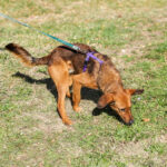 20251101-fotos-dario-13