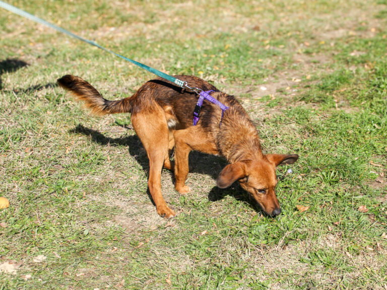 20251101-fotos-dario-13