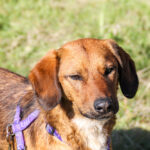 20251101-fotos-dario-14