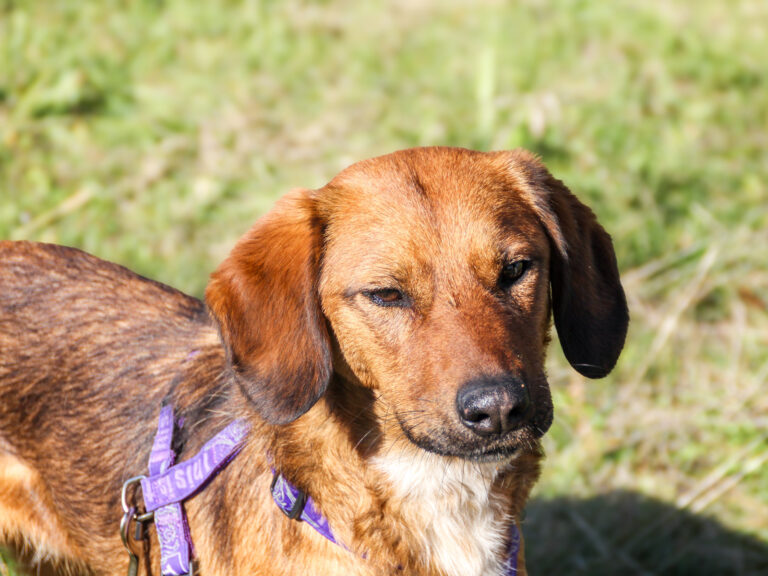 20251101-fotos-dario-14